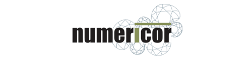 Austin Consulting Kunden